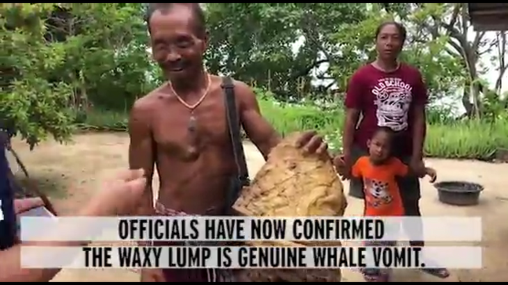 В Таиланде рыбак поймал рвоту кашалота и разбогател