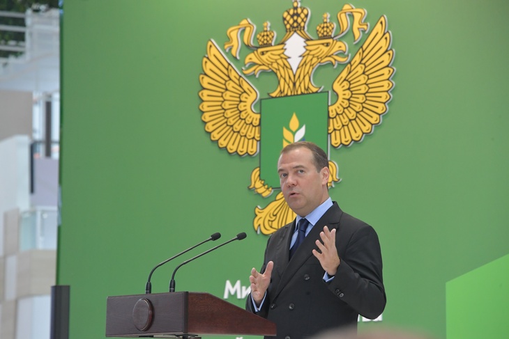 Медведев решил «еще подумать» об отмене НДФЛ для малообеспеченных