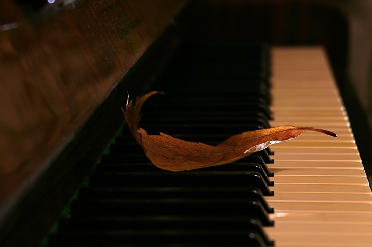 Клавиши на рояле
