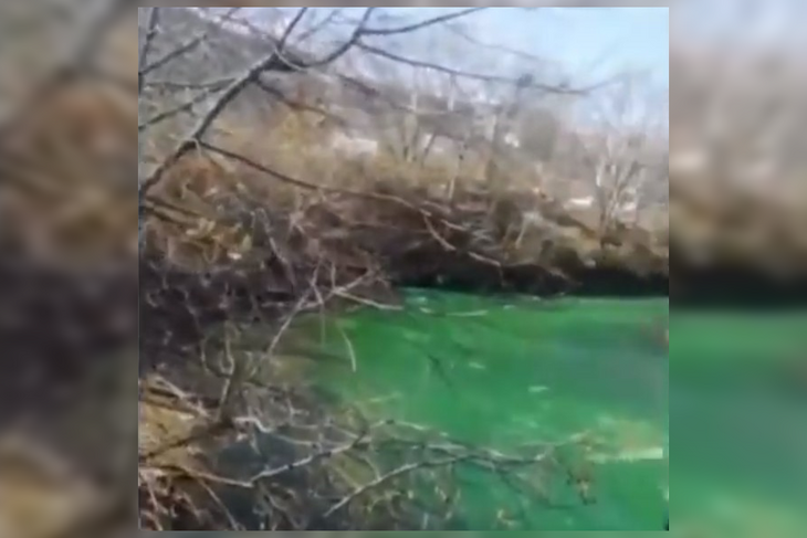 В Приморье вода в реке окрасилась в изумрудный цвет