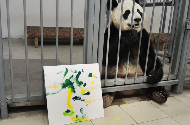 Панда и картина