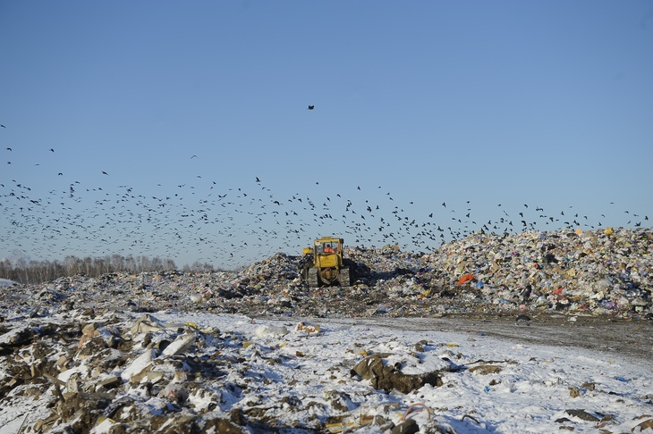 Эксперт объяснил недовольство регионов по мусорным полигонам для Москвы