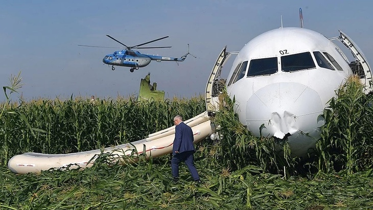 Самолет на кукурузном поле