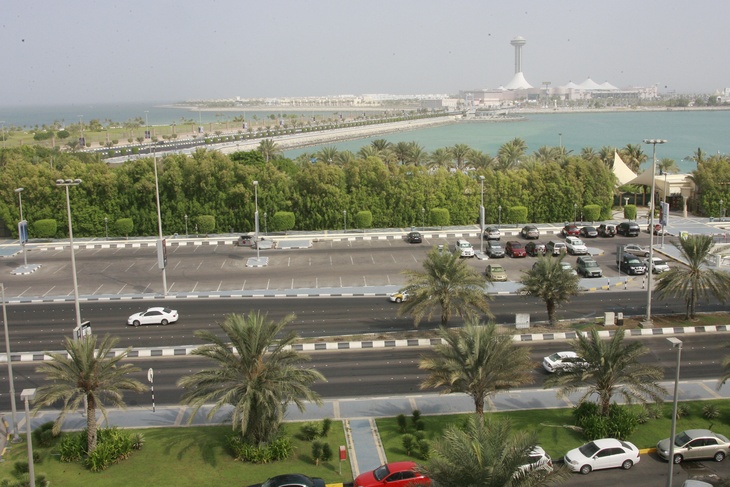 ОАЭ временно прекратят выдавать визы из-за коронавируса 
