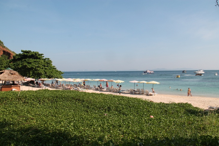 «Не получили ни копейки»: туристы рассказали, как застряли в Таиланде