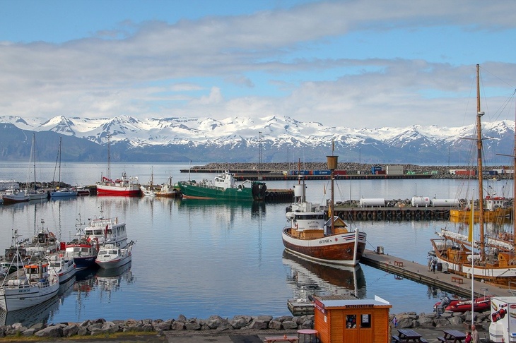 Исландия вышла в лидеры по числу сделанных тестов на короновирус на душу населения