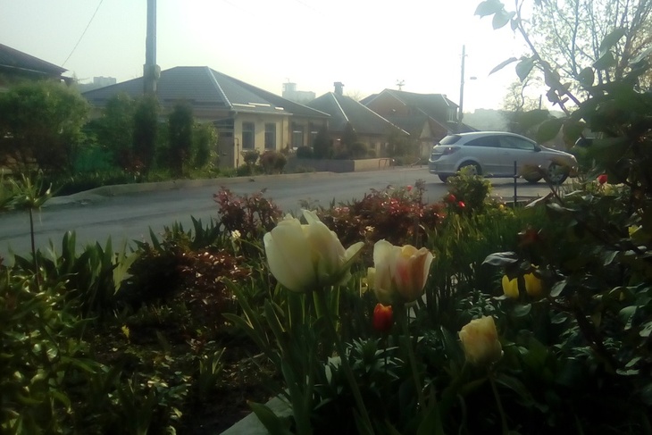 С ранней весны до поздней осени наша улица утопает в цветах