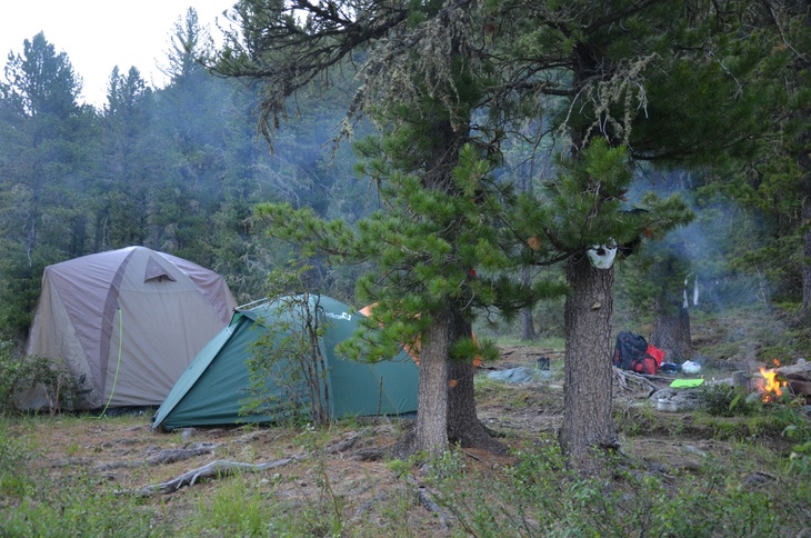 Палатки в лесу
