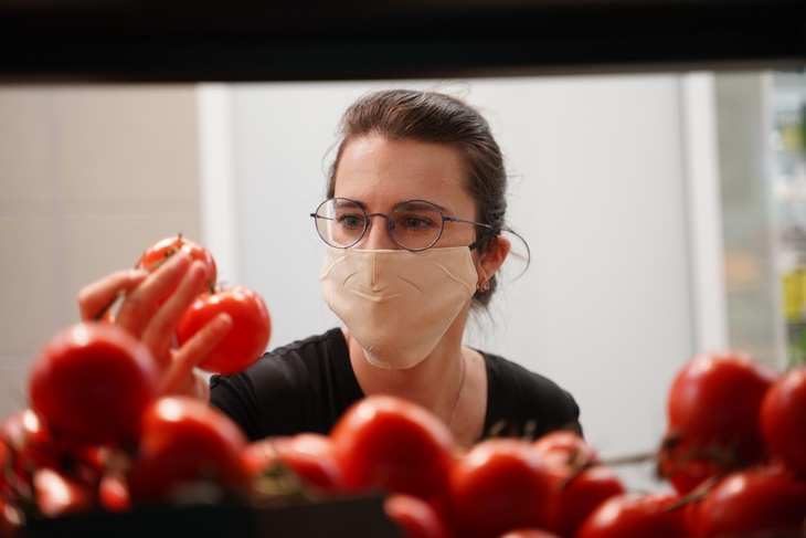 Власти усилят контроль: опасные вирусы из-за рубежа угрожают российским томатам и перцам
