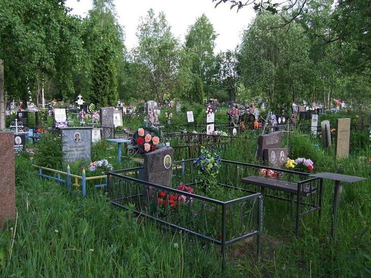 Могильщики наваляли пьяному десантнику на кладбище в Новой Москве