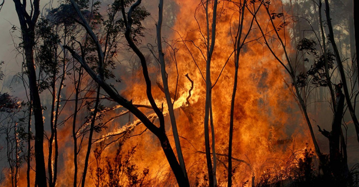 Названо число погибших при пожарах в Ростовской области
