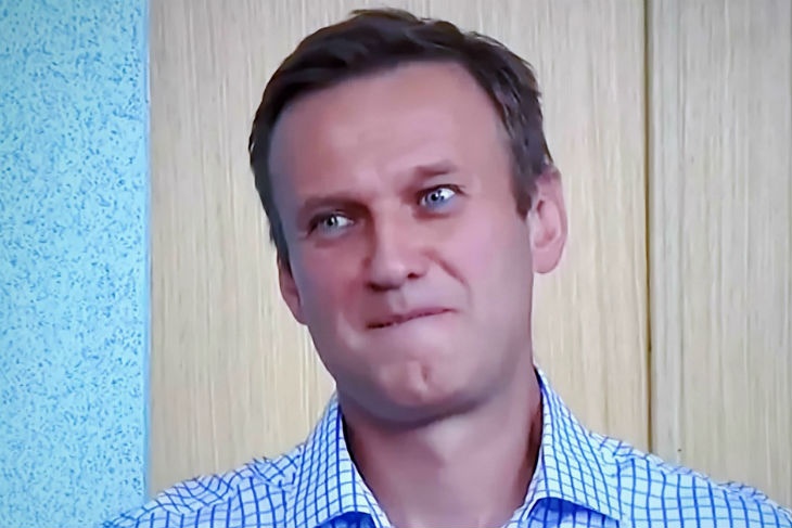 Ярмыш: В новостях немецких СМИ о Навальном много неточностей
