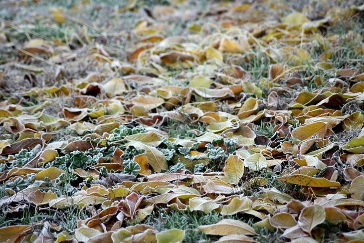 Зима близко: стали известны сроки серьезных похолоданий