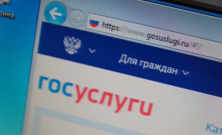 Проще в МФЦ: треть россиян не умеют пользоваться «Госуслугами»