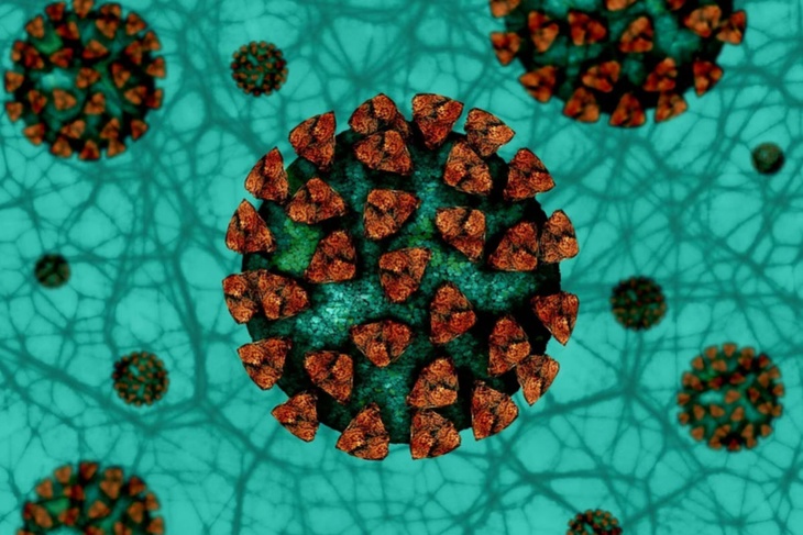 «Начнётся спад»: вирусолог Сергей Нетёсов сообщил, когда коронавирус станет менее активным