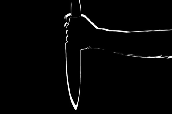 Выпотрошила ножом: девушка зарезала свою 40-летнюю мать