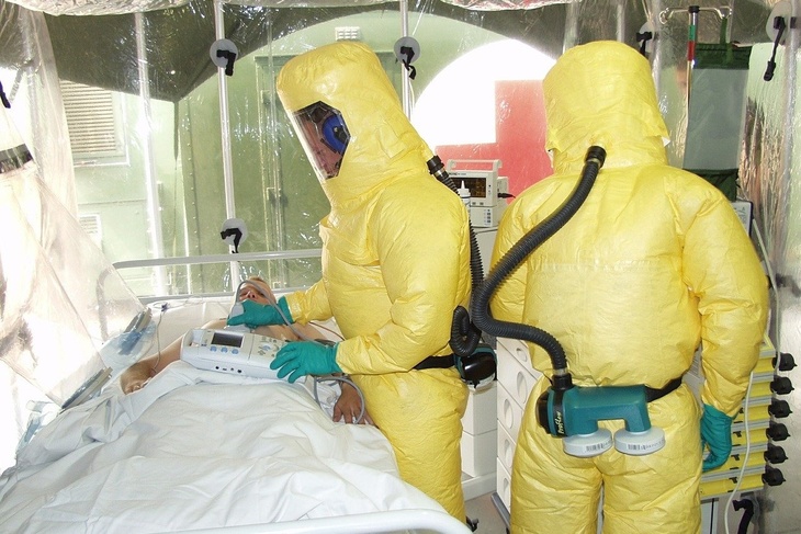 «Знают законы распространения этого заболевания»: Викулов о риске эпидемии Эболы в России