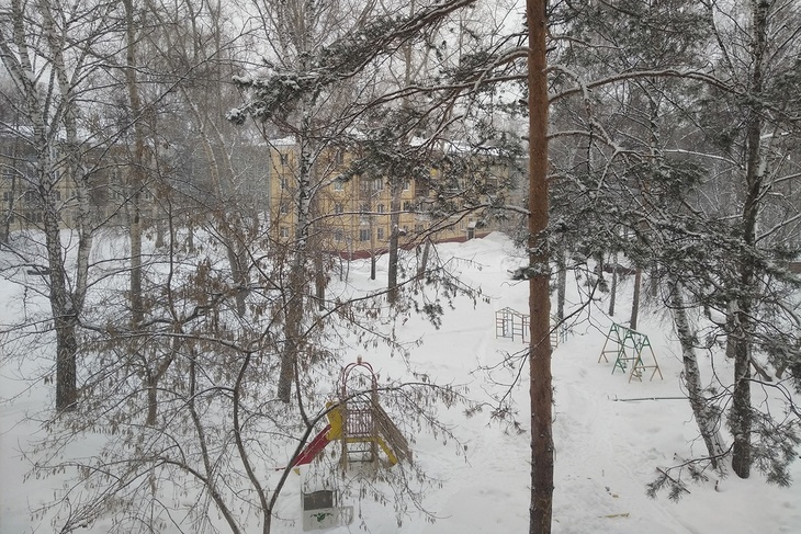 Барнаул завалило снегом, а в Калининграде цветут подснежники