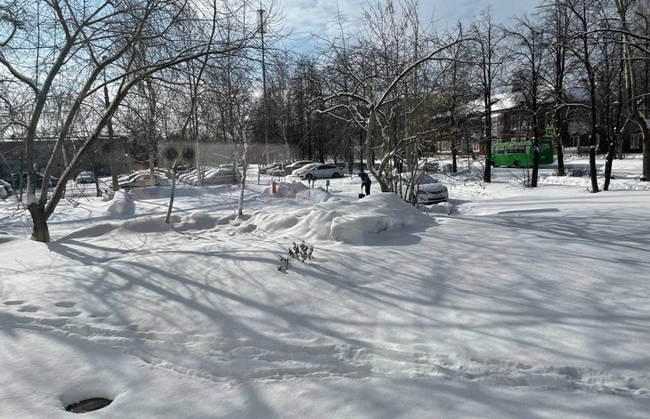 Барнаул завалило снегом, а в Калининграде цветут подснежники