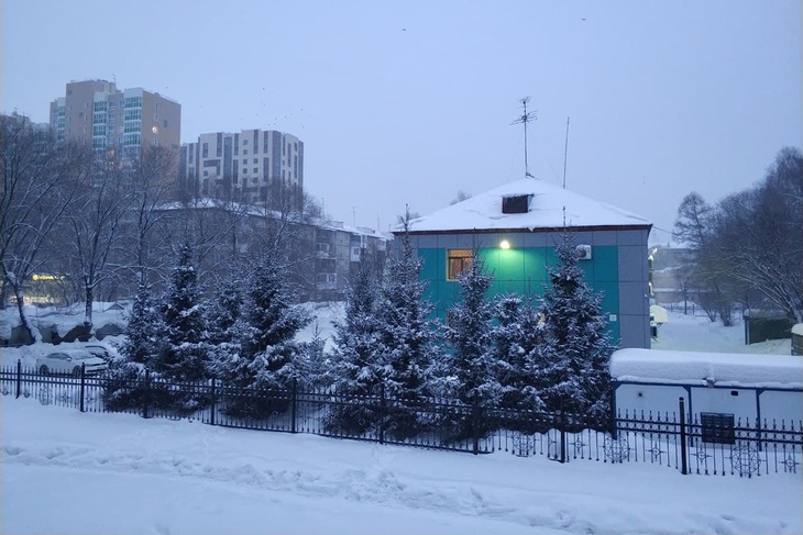 Такая разная, но все-таки весна: Барнаул завалило снегом, а в Калининграде цветут подснежники