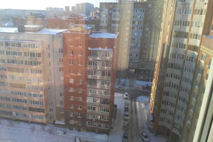 Такая разная, но все-таки весна: Барнаул завалило снегом, а в Калининграде цветут подснежники