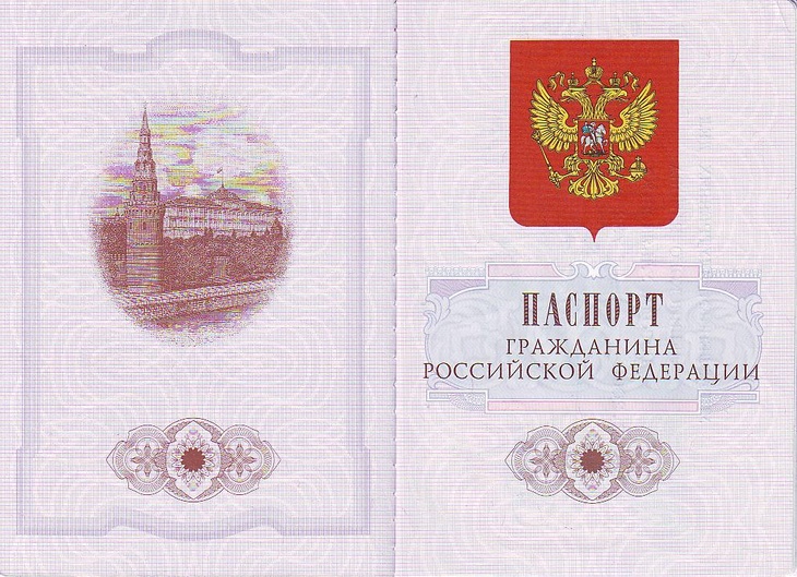 Стало известно, когда в России начнут менять бумажные паспорта на электронные