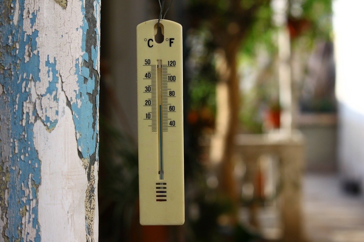 «Скорее, пугает»: синоптик рассказала, чем чревато аномальное тепло в Москве