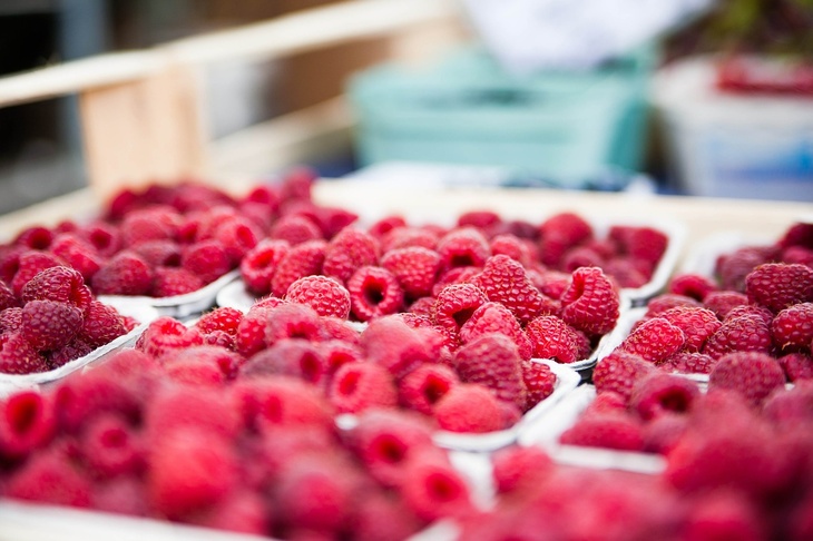 «Помощь нужна в течение короткого времени»: врач предупредила об опасности сезонных ягод