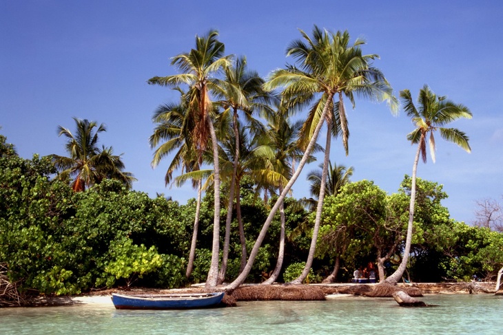 «Вам идут Мальдивские острова»: Брухунова похвасталась костюмом для прогулок по пляжу