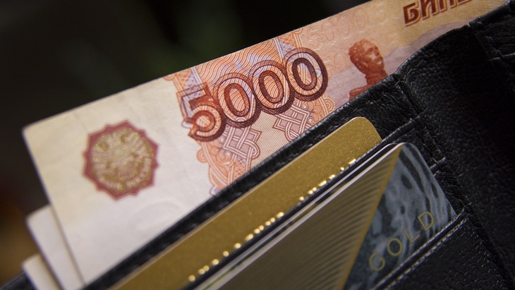 Россиянам с низкой зарплатой предложили доплачивать до соцстандарта
