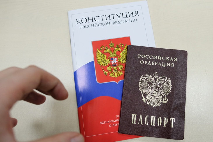 Эксперт не одобрил возвращения графы национальности в паспорт