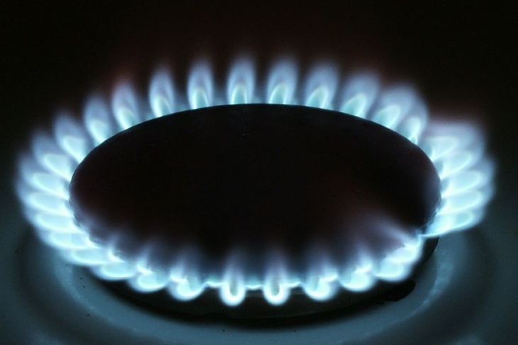 Голубое топливо в каждый дом: как идет программа газификации в Подмосковье