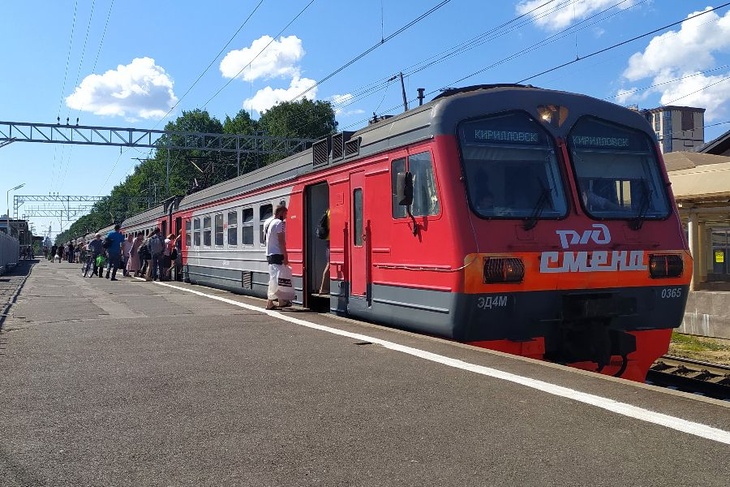 Удобный плацкарт: как россияне выбирают места в поездах