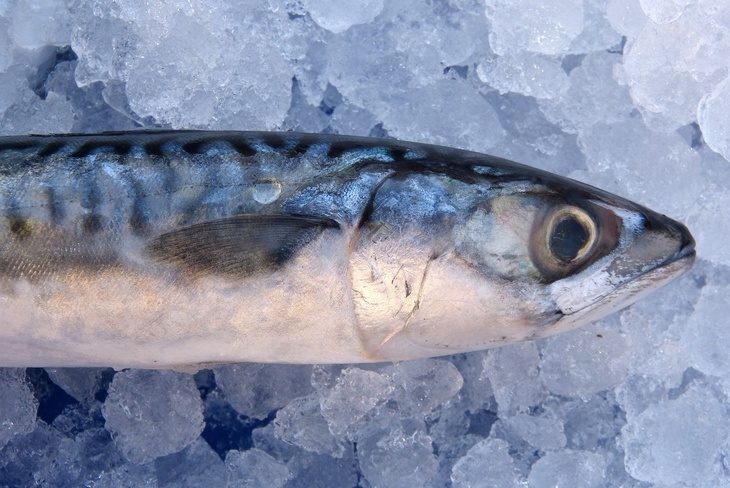 Диетолог Бобровский рассказал, какую недорогую рыбу нужно обязательно есть осенью