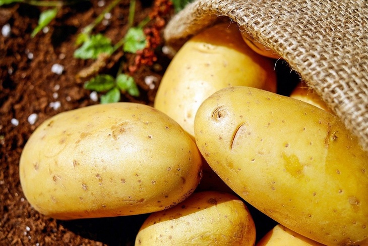 Эксперт назвал две причины роста цен на картофель в России