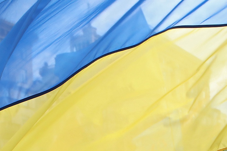 Политолог рассказал, что последует за отставкой спикера Украины
