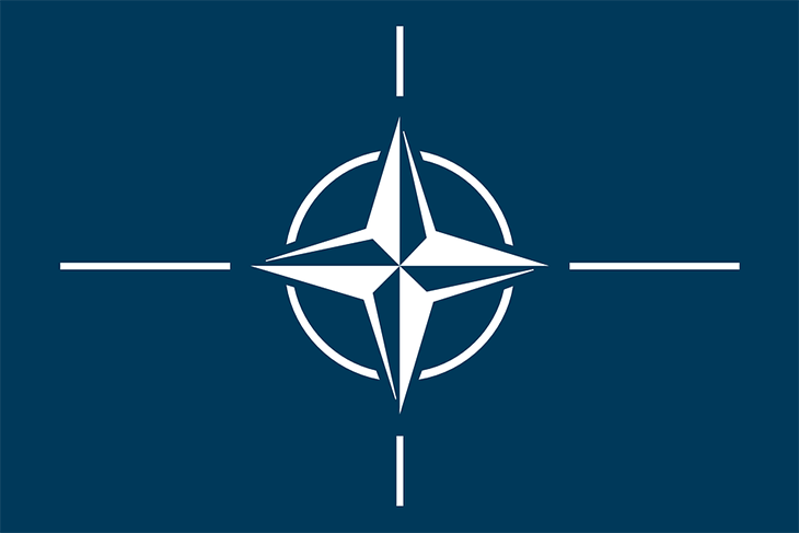 Эксперт рассказал о возможном ответе России на высылку дипломатов из НАТО