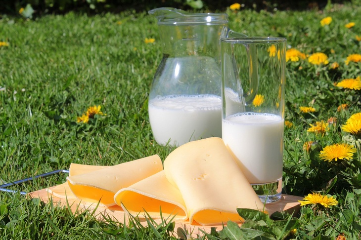 Диетолог объяснила, сколько молочных продуктов можно съесть в день