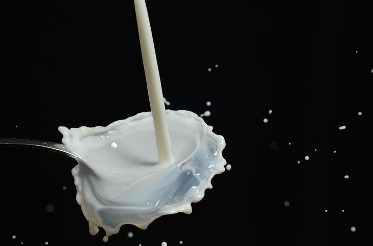Нутрициолог объяснила, почему пить молоко вредно