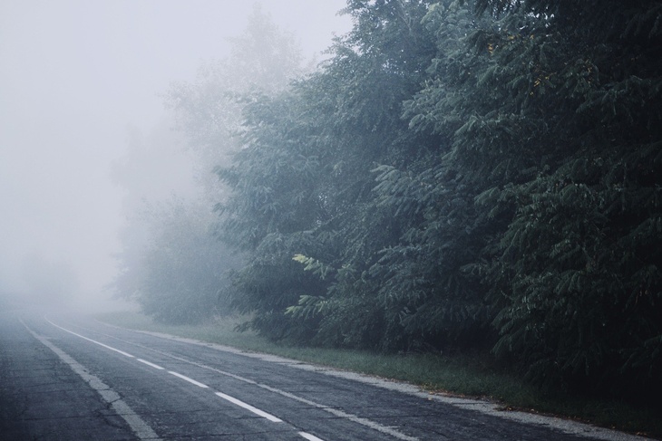 Всегда иметь ввиду: автоэксперт напомнил главные правила вождения при густом тумане