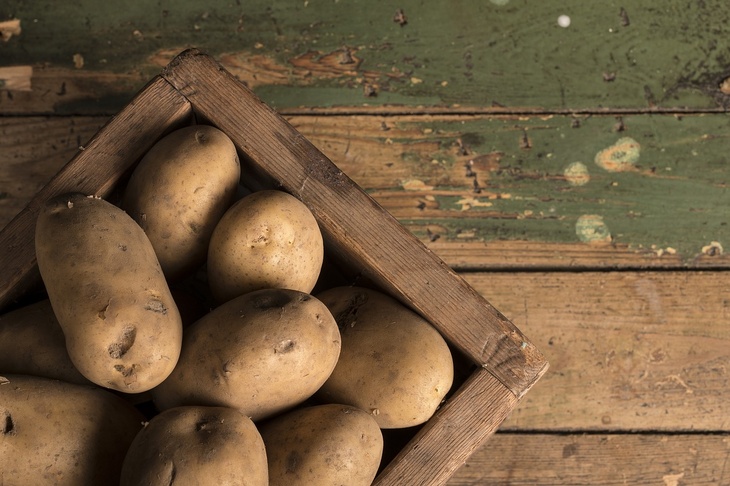 Эксперт Роскачества объяснила, почему прошлогодний картофель может быть очень опасен