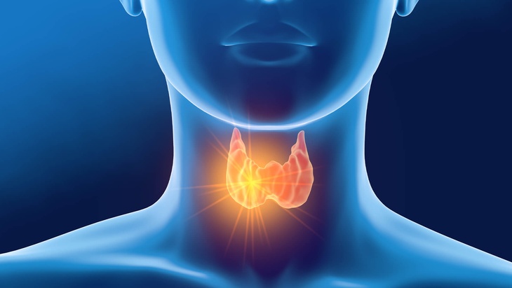 «Убивает сама себя»: врач Мясников назвал главные признаки саморазрушения щитовидной железы