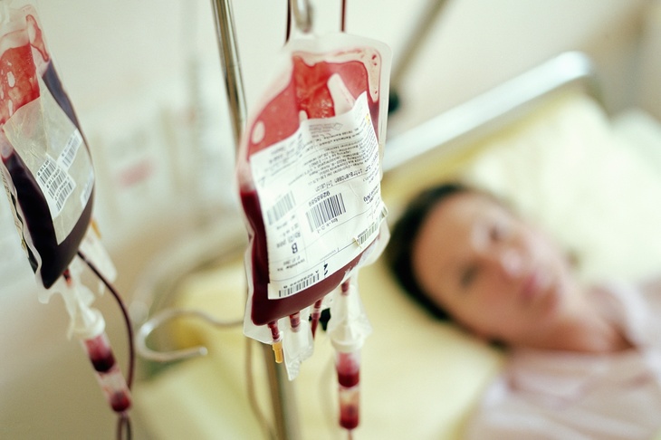 «Механизм запущен»: врач Мясников рассказал, насколько эффективны диеты по группе крови