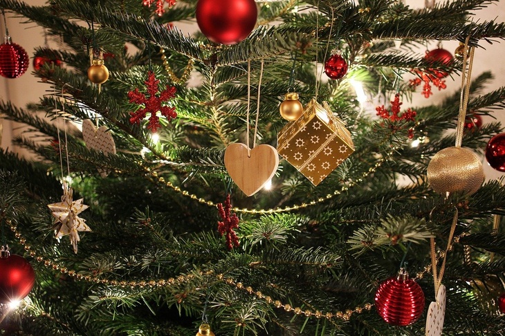 Эксперты рассказали, как сохранить живую новогоднюю елку свежей