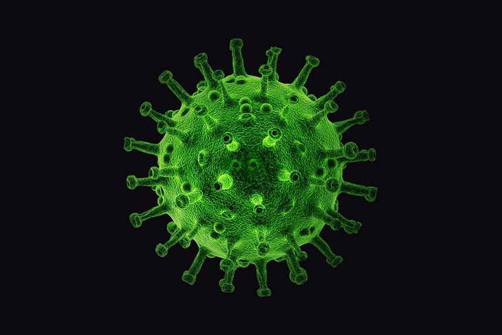 «От заражения защищает мало»: вирусолог об эффективности прививок от коронавируса