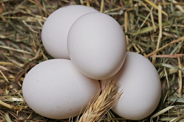 «Я всегда ел по три»: врач Мясников назвал допустимое количество яиц в пищу за день