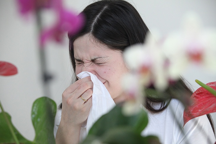Иммунолог объяснила, как аллергикам правильно подготовиться к сезону цветения