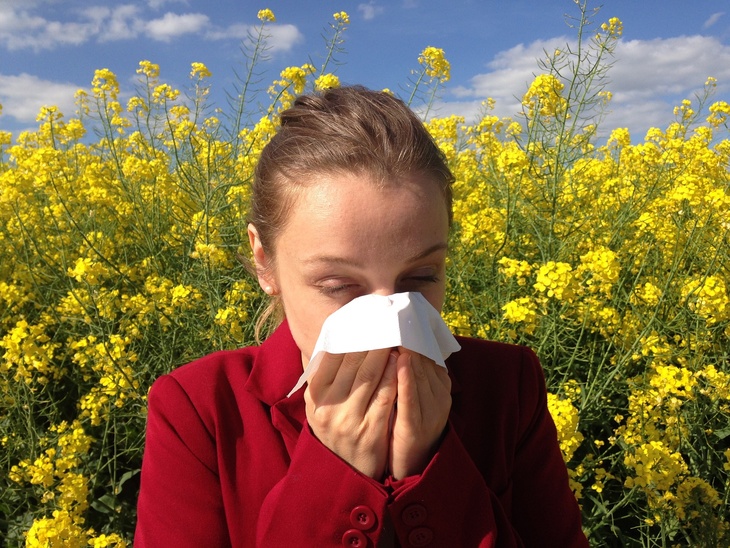 Тяжелая пора для аллергиков: врач предупредил о сложной весне в этом году