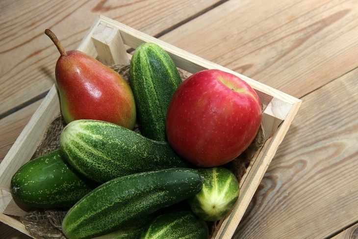 Огурцы, томат, базилик: что можно вырастить на подоконнике, чтобы не покупать за сумасшедшие деньги