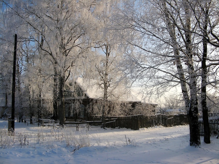 Вернутся зимние холода: синоптик Тишковец пообещал на 8 марта погоду с «мужским характером»